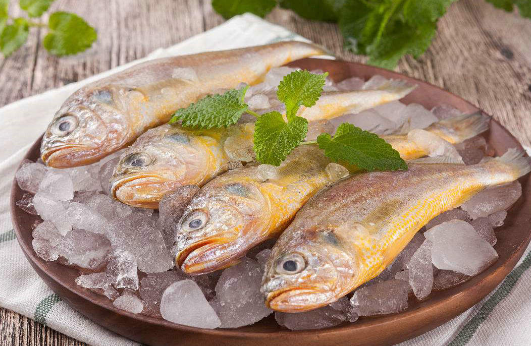 小黃魚